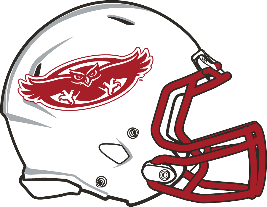 Florida Atlantic Owls 2015-2017 Helmet Logo diy iron on heat transfer